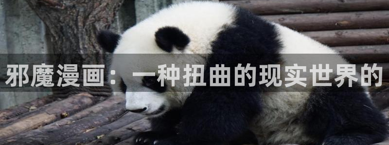 虫虫漫画韩漫大全