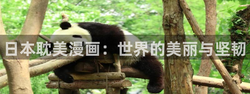 虫虫漫画网在线阅读